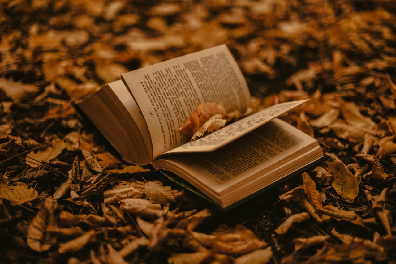 A vintage book open on fallen leaves, embodying the essence of autumn in a tranquil forest environment.