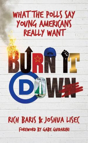 جلد کتاب Burn It Down، نوشته Rich Baris، Joshua Lisec